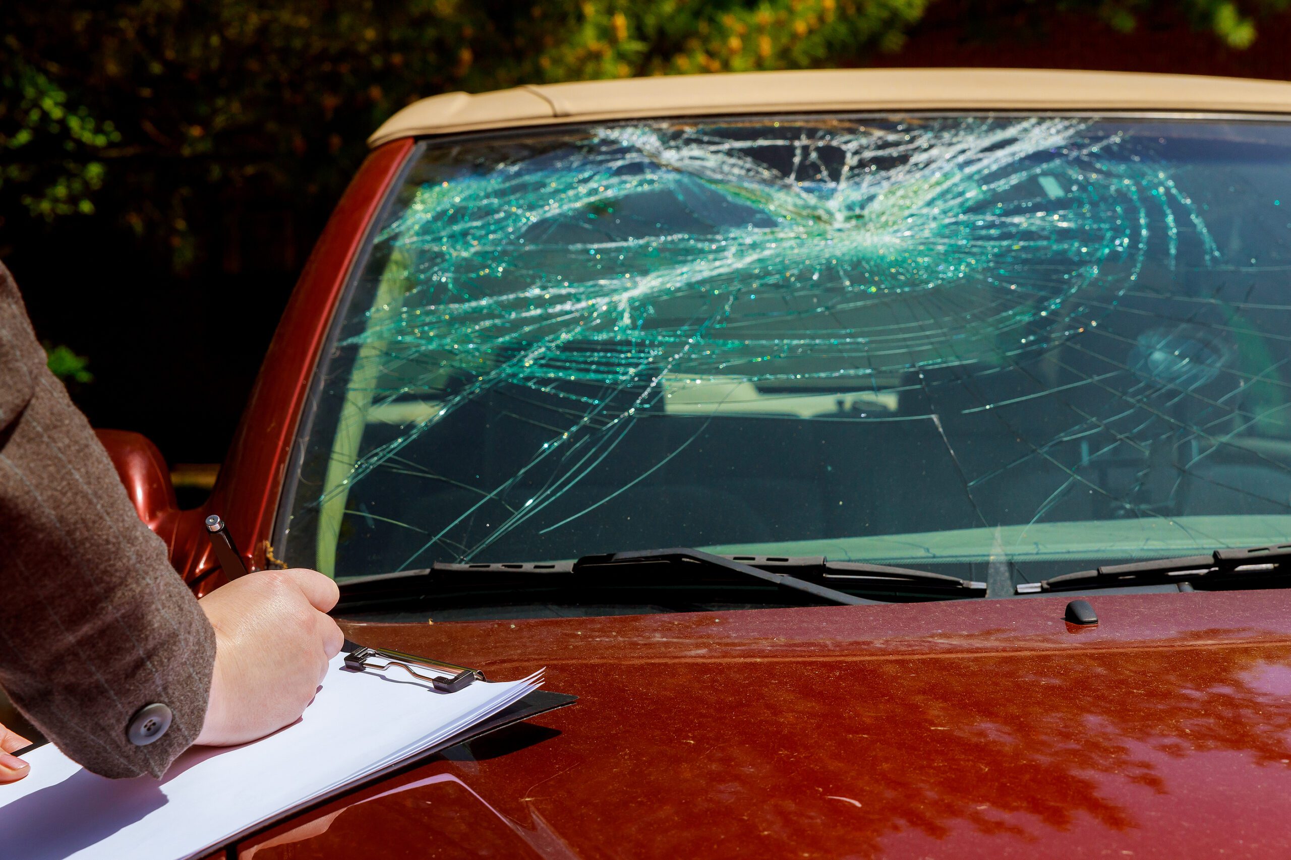 Deer Crash In Macomb County, Michigan